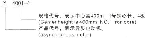 西安泰富西玛Y系列(H355-1000)高压YKK4506-4三相异步电机型号说明